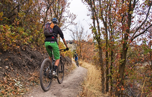 Mountain Bike Trails in Utah Fall