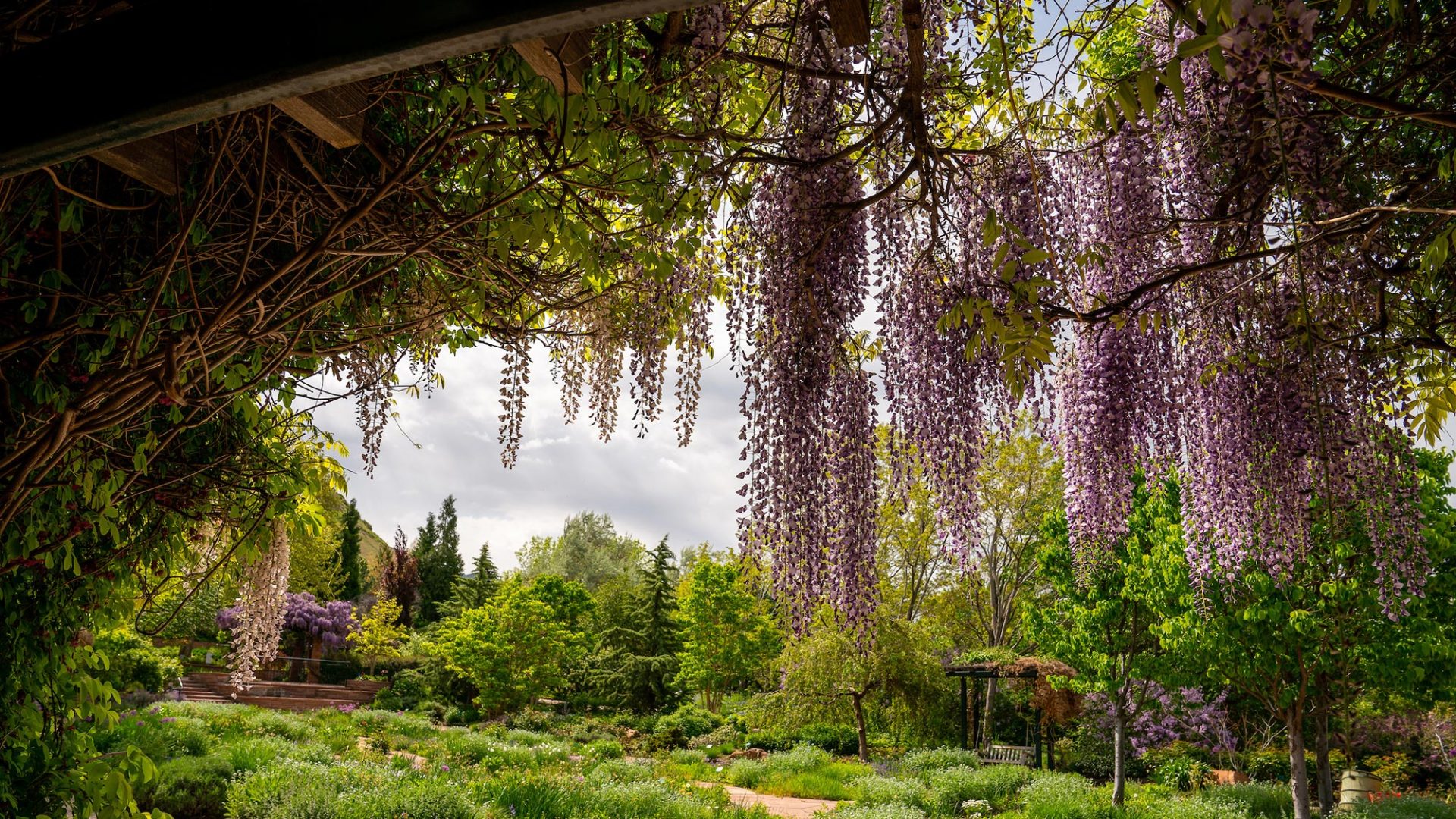 Red Butte Gardens Botanical Gardens and Beautiful Hikes