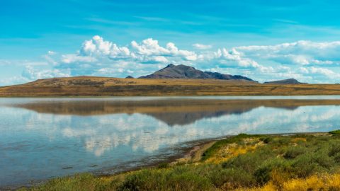 Antelope Island - one of the hidden gems in Utah