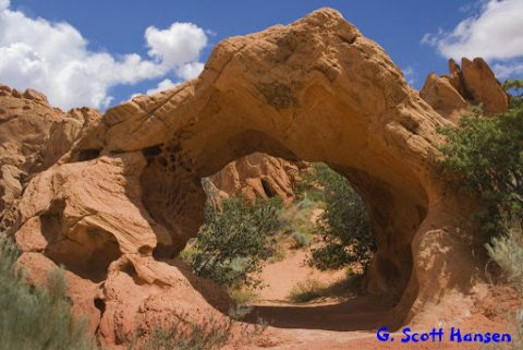 Red Cliffs Desert Reserve - one of the hidden gems in Utah